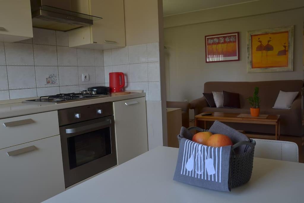 Apartman Ana Pula - Calm, Free Parking, Close To Center 外观 照片
